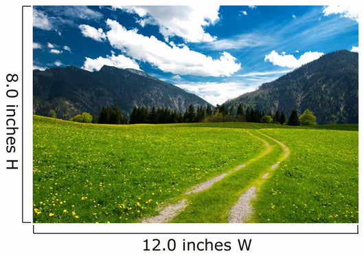 Pasture in the Bavarian Alps Wall Mural
