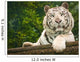 Resting White Tiger Wall Mural