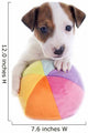 Puppy Jack Russel Terrier