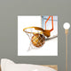 Basket ball centering the basket, close up view. Wall Decal