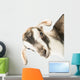 baby goat head Wall Decal