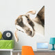 baby goat head Wall Decal