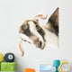baby goat head Wall Decal