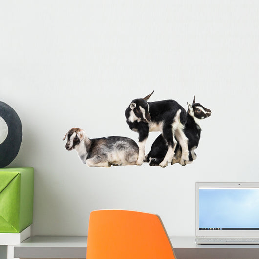 Little Goat Wall Decal