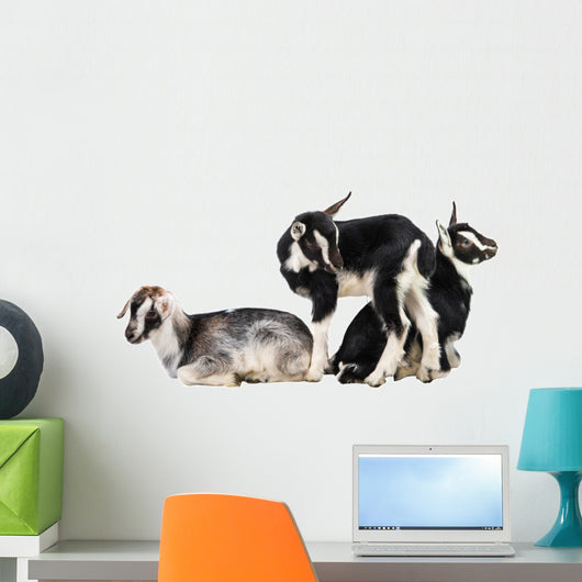 Little Goat Wall Decal
