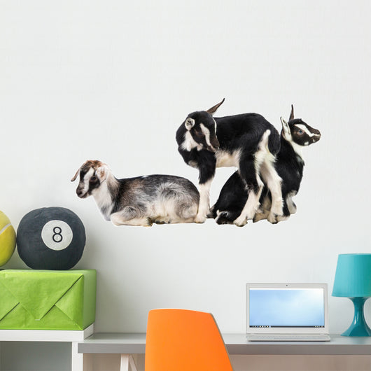 Little Goat Wall Decal