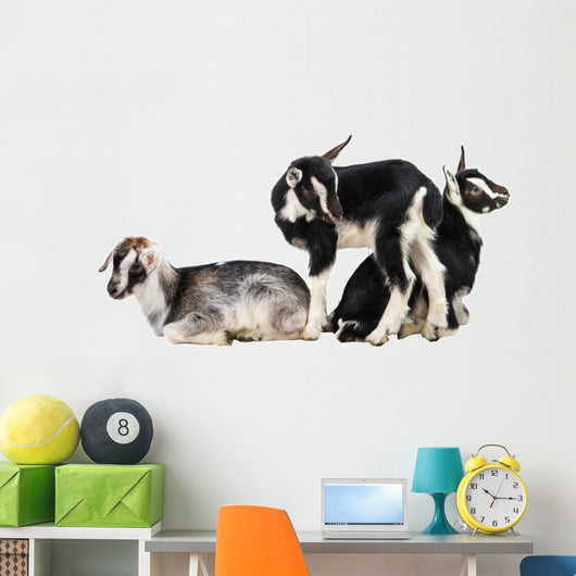 Little Goat Wall Decal