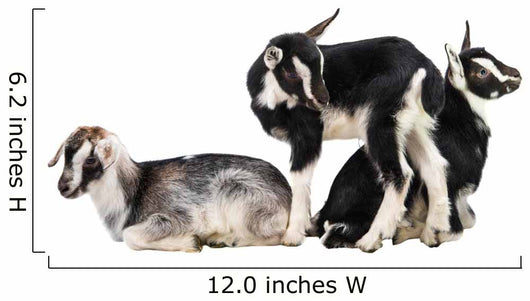 Little Goat Wall Decal