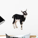 little goat Wall Decal