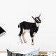 little goat Wall Decal