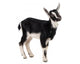 little goat Wall Decal