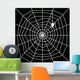 Cobweb with Spider Silhouette