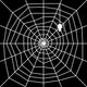Cobweb with Spider Silhouette