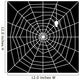 Cobweb with Spider Silhouette