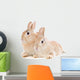 Zwergkaninchen Wall Mural