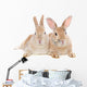 Dwarf Rabbit Wall Mural