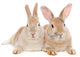 Dwarf Rabbit Wall Mural