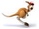 Fun Kangaroo