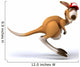 Fun Kangaroo