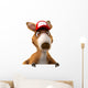 Fun Kangaroo