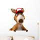 Fun Kangaroo