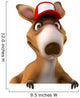 Fun Kangaroo