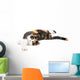 Young cat lying on the ground, isolated in white Wall Decal