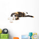 Young cat lying on the ground, isolated in white Wall Decal