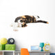 Young cat lying on the ground, isolated in white Wall Decal