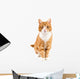 Red Cat Sitting towards