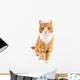 Red Cat Sitting towards