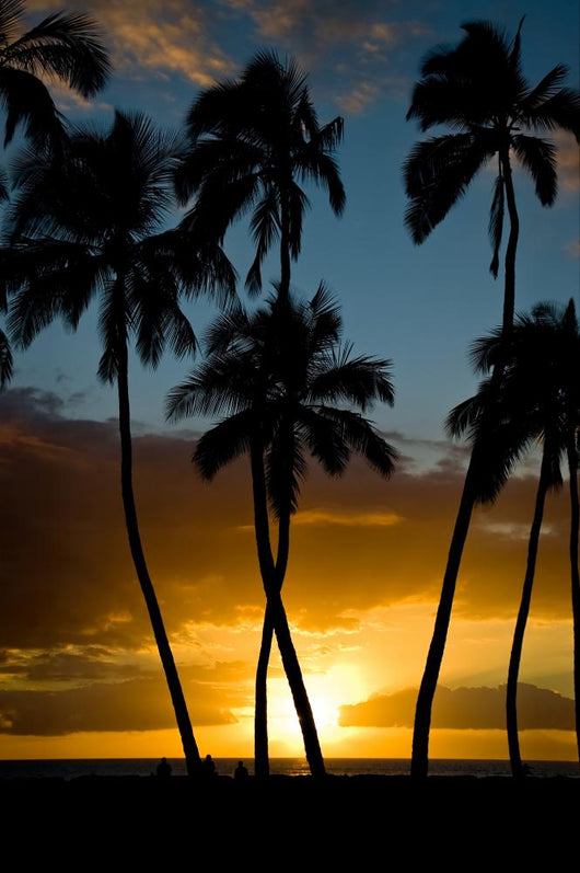Kihei Sunset Wall Mural