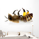 Dead Bee - The Bees (Dead Bee - Bee deaths) Wall Decal