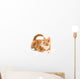 Little red kitten, looking up Wall Decal