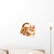 Little red kitten, looking up Wall Decal