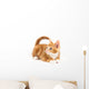 Little red kitten, looking up Wall Decal
