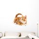 Little red kitten, looking up Wall Decal