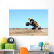 Monster Truck