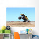 Monster Truck