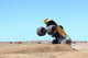 Monster Truck