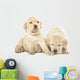Labrador Puppies Wall Decal