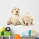 Labrador Puppies Wall Decal