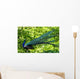 Blue Peacock-pavo Cristatus