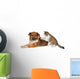 Cat brushing a blissful dog Wall Decal
