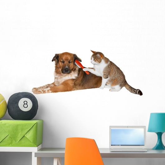 Cat brushing a blissful dog Wall Decal