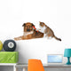 Cat brushing a blissful dog Wall Decal