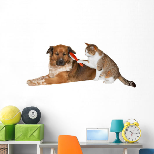Cat brushing a blissful dog Wall Decal