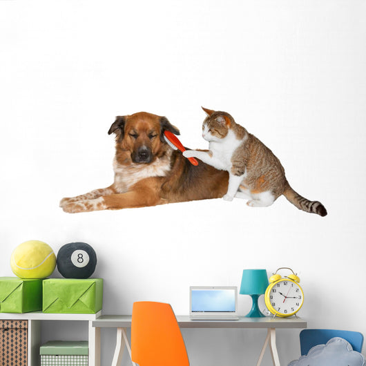 Cat brushing a blissful dog Wall Decal