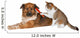 Cat brushing a blissful dog Wall Decal