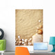shells on sand Wall Mural